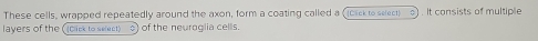 These cells, wrapped repeatedly around the axon, form a coating called a (Click to select) .It consists of multiple 
layers of the ((cack to select) of the neuroglia cells.