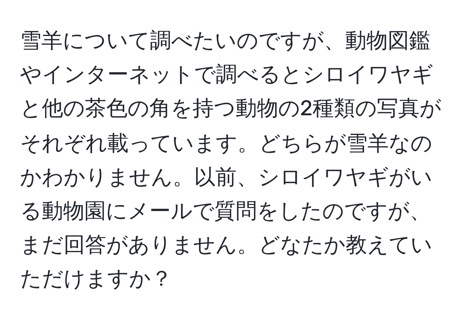 雪羊について調べたいのですが、動物図鑑やインターネットで調べるとシロイワヤギと他の茶色の角を持つ動物の2種類の写真がそれぞれ載っています。どちらが雪羊なのかわかりません。以前、シロイワヤギがいる動物園にメールで質問をしたのですが、まだ回答がありません。どなたか教えていただけますか？