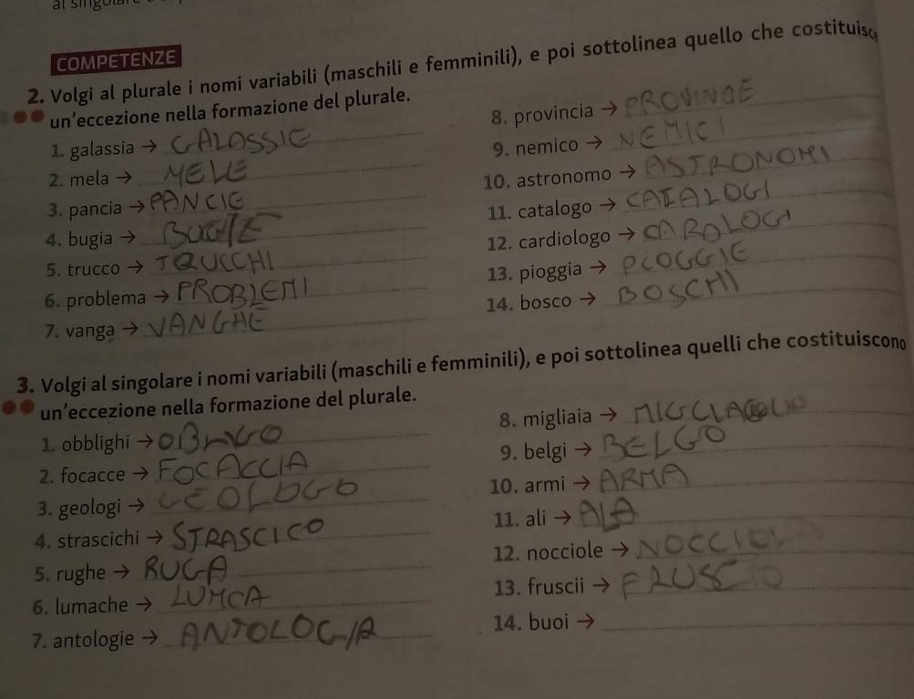 Volgi al plurale i nomi variabili (maschili e femminili), e poi sottolinea quello che costituiso COMPETENZE 
_ 
_ 
un’eccezione nella formazione del plurale. 
8. provincia 
_ 
_ 
1. galassia → 9. nemico 
_ 
_ 
2. mela 10. astronomo 
_ 
3. pancia 11. catalogo 
4. bugia 12. cardiologo 
_ 
5. trucco 
_ 
6. problema _13. pioggia_ 
_ 
14. bosco 
7. vanga - 
_ 
3. Volgi al singolare i nomi variabili (maschili e femminili), e poi sottolinea quelli che costituiscono 
un’eccezione nella formazione del plurale._ 
1. obblighi → _8. migliaia_ 
2. focacce _9. belgi 
10. armi 
_ 
3. geologi 
_ 
11. ali →_ 
4. strascichi → 
_ 
5. rughe _12. nocciole_ 
6. lumache → _13. fruscii_ 
14. buoi_ 
7. antologie → 
_