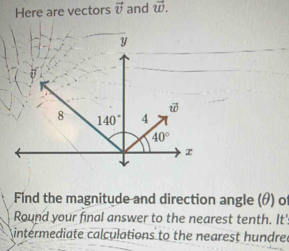 Here are vectors vector v and vector w. Find the magnitude and ...
