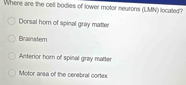 Solved: Where are the cell bodies of lower motor neurons (LMN) located ...