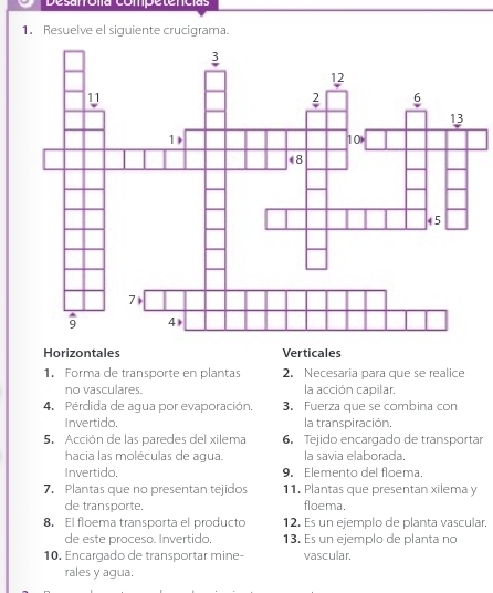 Desarrólía competencías 
1. Resuelve el siguiente crucigrama. 
Horizontales Verticales 
1. Forma de transporte en plantas 2. Necesaria para que se realice 
no vasculares. la acción capilar. 
4. Pérdida de agua por evaporación. 3. Fuerza que se combina con 
Invertido. la transpiración. 
5. Acción de las paredes del xilema 6. Tejido encargado de transportar 
hacia las moléculas de agua. la savia elaborada. 
Invertido. 9. Elemento del floema. 
7. Plantas que no presentan tejidos 11. Plantas que presentan xilema y 
de transporte. floema. 
8. El floema transporta el producto 12. Es un ejemplo de planta vascular. 
de este proceso. Invertido. 13. Es un ejemplo de planta no 
10. Encargado de transportar mine- vascular. 
rales y agua.