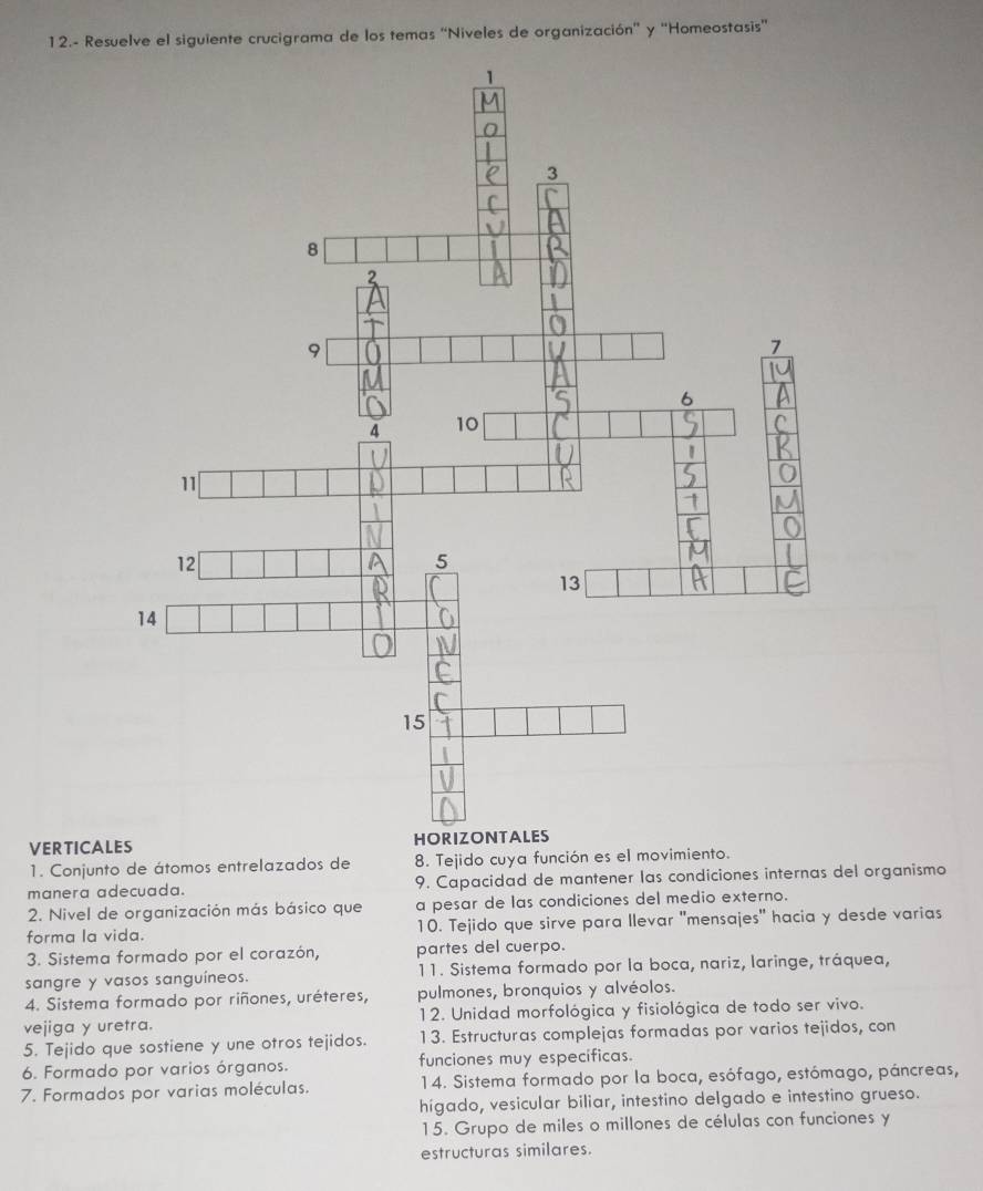 12.- Resuelve el siguiente crucigrama de los temas “Niveles de organización” y “Homeostasis” 
VERTICALES 
1. Conjunto de átomos entrelazados de 8. Tejido cuya función es el movimiento. 
manera adecuada. 9. Capacidad de mantener las condiciones internas del organismo 
2. Nivel de organización más básico que a pesar de las condiciones del medio externo. 
forma la vida. 10. Tejido que sirve para llevar "mensajes" hacia y desde varias 
3. Sistema formado por el corazón, partes del cuerpo. 
sangre y vasos sanguíneos. 11. Sistema formado por la boca, nariz, laringe, tráquea, 
4. Sistema formado por riñones, uréteres, pulmones, bronquios y alvéolos. 
vejiga y uretra. 12. Unidad morfológica y fisiológica de todo ser vivo. 
5. Tejido que sostiene y une otros tejidos. 13. Estructuras complejas formadas por varios tejidos, con 
6. Formado por varios órganos. funciones muy especificas. 
7. Formados por varias moléculas. 14. Sistema formado por la boca, esófago, estómago, páncreas, 
hígado, vesicular biliar, intestino delgado e intestino grueso. 
15. Grupo de miles o millones de células con funciones y 
estructuras similares.