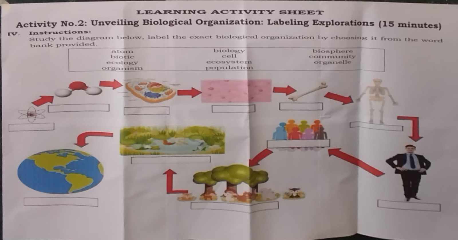 Solved: LEARNING ACTIVITY SHEET Activity No.2: Unveiling Biological ...