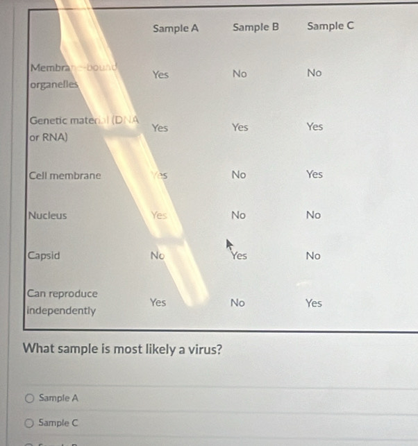 Sample A 
Sample C