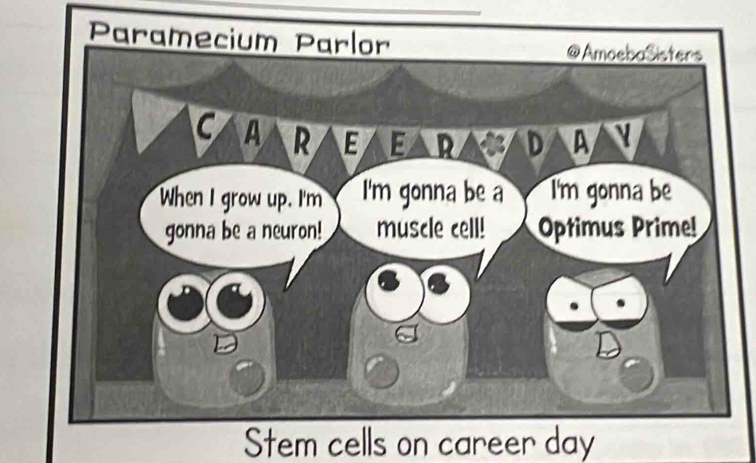 Stem cells on career day