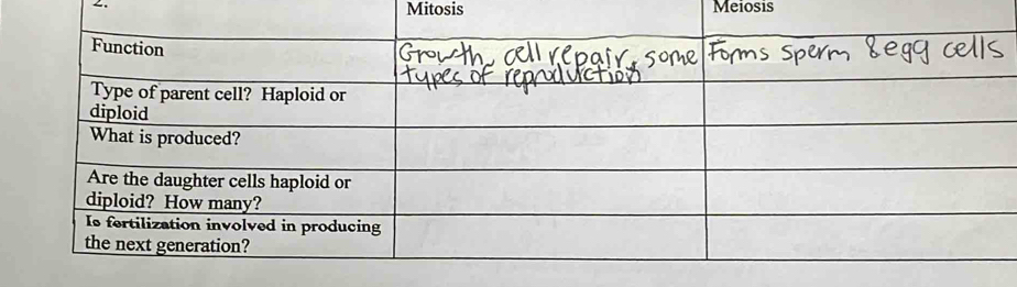 Mitosis Meiosis