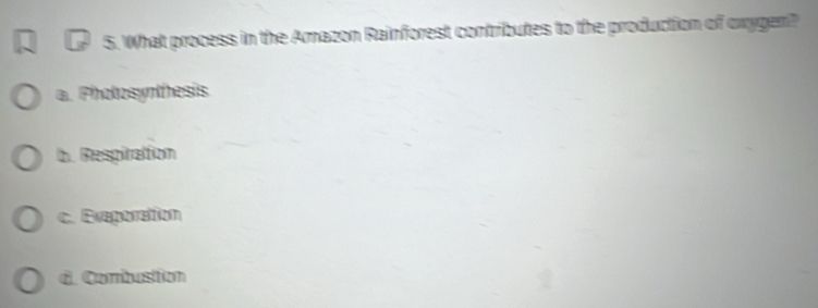 What process in the Amazon Rainforest contributes to the production of oxygen?
a. Photosynthesis
b. Respiration
c. Ereporation
d. Combustion