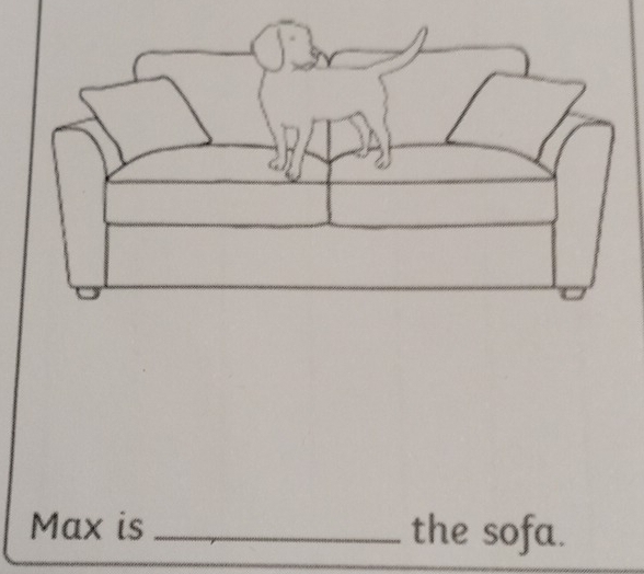 Max is_ the sofa.