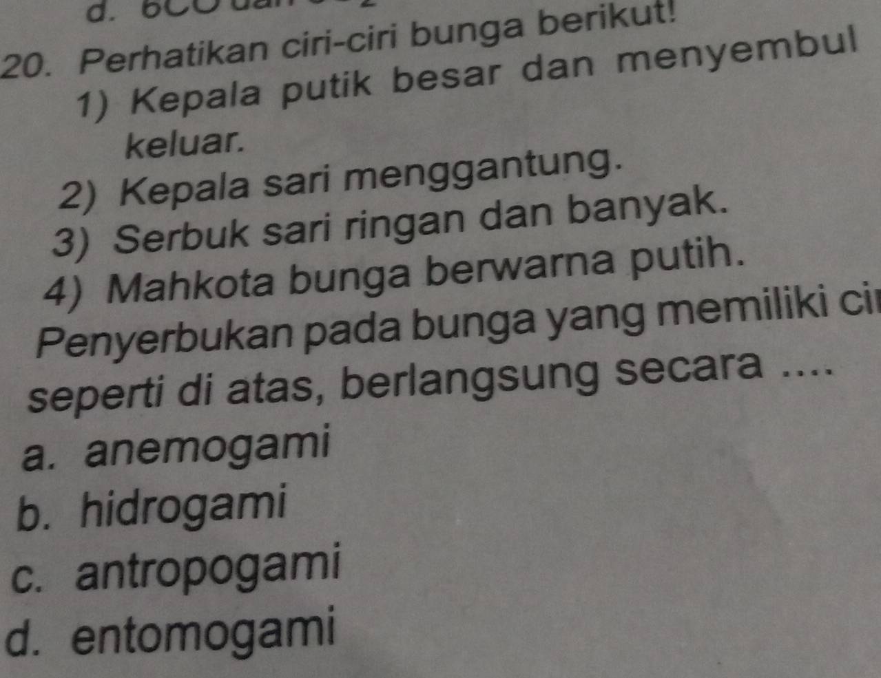 6CC đai
20. Perhatikan ciri-ciri bunga berikut!
1) Kepala putik besar dan menyembul
keluar.
2) Kepala sari menggantung.
3) Serbuk sari ringan dan banyak.
4) Mahkota bunga berwarna putih.
Penyerbukan pada bunga yang memiliki ci
seperti di atas, berlangsung secara ....
a. anemogami
b. hidrogami
c. antropogami
d. entomogami