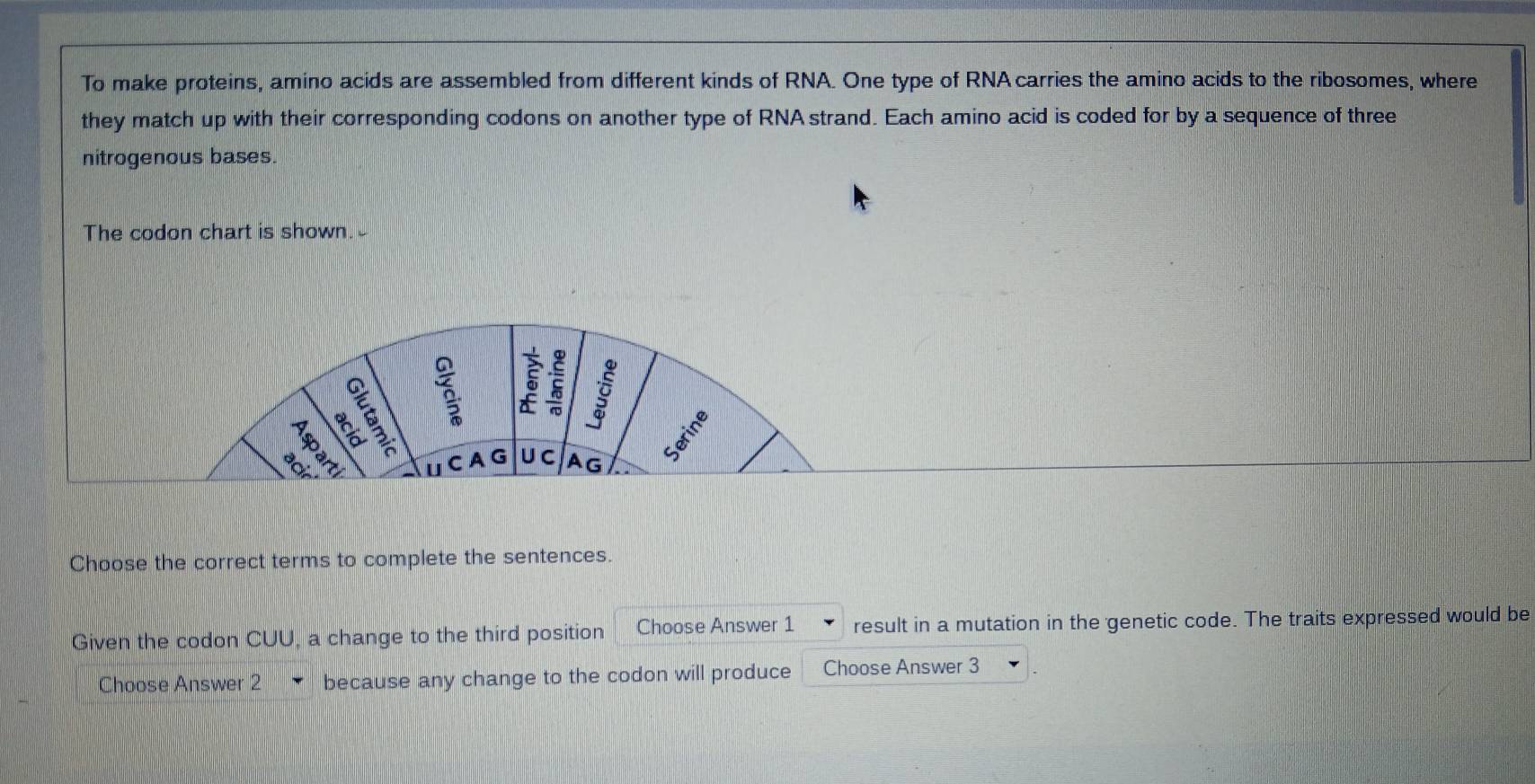 To make proteins, amino acids are assembled from different kinds of RNA. One type of RNA carries the amino acids to the ribosomes, where 
they match up with their corresponding codons on another type of RNA strand. Each amino acid is coded for by a sequence of three 
nitrogenous bases. 
The codon chart is shown. 
Choose the correct terms to complete the sentences. 
Given the codon CUU, a change to the third position Choose Answer 1 result in a mutation in the genetic code. The traits expressed would be 
Choose Answer 2 because any change to the codon will produce Choose Answer 3