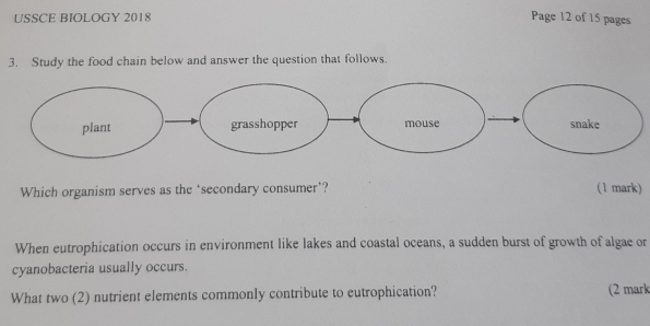 USSCE BIOLOGY 2018 
Page 12 of 15 pages 
3. Study the food chain below and answer the question that follows. 

Which organism serves as the ‘secondary consumer’? (1 mark) 
When eutrophication occurs in environment like lakes and coastal oceans, a sudden burst of growth of algae or 
cyanobacteria usually occurs. 
What two (2) nutrient elements commonly contribute to eutrophication? (2 mark