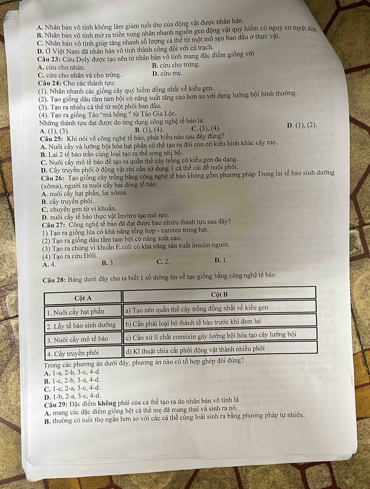 A. Nhân bản vô tính không làm giảm tuổi thọ của động vật được nhân bản.
B. Nhân bản vô tính mở ra triển vọng nhân nhanh nguồn gen động vật quý hiếm có nguy cơ tuyệt điệu
C. Nhân bản vô tính giúp tăng nhanh số lượng cá thể từ một mô sẹo ban đầu ở thực vật.
D. Ở Việt Nam đã nhân bản vô tính thành công đối với cá trạch.
Câu 23: Cừu Doly được tạo nên từ nhân bản vô tính mang đặc điểm giống với
A. cừu cho nhân. B. cừu cho trứng.
C. cừu cho nhân và cho trứng. D. cừu mẹ.
Câu 24: Cho các thành tựu:
(1). Nhân nhanh các giống cây quý hiếm đồng nhất về kiểu gen.
(2). Tạo giống dâu tằm tam bội có năng suất tăng cao hơn so với dạng lưỡng bội bình thường.
(3). Tạo ra nhiều cá thể từ một phôi ban đầu.
(4). Tạo ra giống Táo “má hồng ” từ Táo Gia Lộc.
Những thành tựu đạt được do ứng dụng công nghệ tế bào là:
A. (1), (3). B. (1), (4). C. (3), (4).
D. (1), (2).
Câu 25: Khi nói về công nghệ tế bào, phát biểu nào sau đây đúng?
A. Nuôi cấy và lưỡng bội hóa hạt phần có thể tạo ra đời con có kiểu hình khác cây mẹ.
B. Lai 2 tế bào trần cùng loại tạo ra thể song nhị bộ.
C. Nuôi cấy mô tế bào để tạo ra quần thể cây trồng có kiểu gen đa dạng.
D. Cấy truyền phôi ở động vật chỉ cần sử dụng 1 cá thể cái để nuôi phôi.
Câu 26: Tạo giống cây trồng bằng công nghệ tế bào không gồm phương pháp Trong lai tế bào sinh dưỡng
(xôma), người ta nuôi cấy hai dòng tế bào
A. nuôi cầy hạt phần, lai xôma.
B. cấy truyền phối.
C. chuyền gen từ vi khuẩn.
D. nuôi cấy tế bào thực vật Invitro tạo mô sẹo.
Câu 27: Công nghệ tế bào đã đạt được bao nhiêu thành tu sau đây?
1) Tạo ra giống lúa có khả năng tổng hợp - caroten trong hạt.
(2) Tạo ra giống dâu tằm tam bội có năng suất cao.
(3) Tạo ra chủng vi khuẩn E.coli có khả năng sản xuất insulin người.
(4) Tạo ra cừu Đôli.
A. 4. B. 3. C. 2.
D. 1.
Câu 28: Bảng dưới đây cho ta biết 1 số thông tin về tạo giống bằng công nghệ tế bào
Trong các phương án dưới đây, phương á
A. 1-a, 2-b, 3-c, 4-d.
B. 1-c, 2-b, 3-a, 4-d.
C. 1-c, 2-a, 3-c, 4-d.
D. 1-b, 2-a, 3-c, 4-d.
Câu 29: Đặc điểm không phải của cá thể tạo ra do nhân bản vô tính là
A. mang các đặc điểm giống hệt cá thể mẹ đã mang thai và sinh ra nó.
B. thường có tuổi thọ ngắn hơn so với các cá thể cùng loài sinh ra bằng phương pháp tự nhiên.