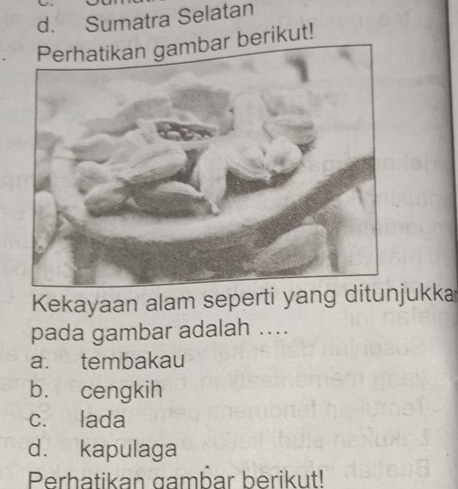 Sumatra Selatan
berikut!
Kekayaan alam seperti yang ditunjukka
pada gambar adalah ...
a. tembakau
b. cengkih
c. lada
d. kapulaga
Perhatikan gambar berikut!