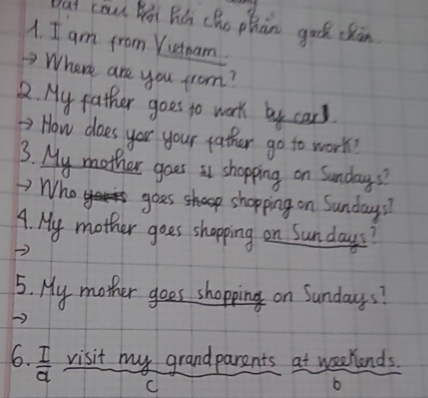 Uaut cou Woi hǎn che phan guck ckin. 
1. I am from Yuteam. 
Where are you from? 
2. My father goes to work by cand 
How does you your father go to work? 
3. My mother goes it shopping on Sunday? 
Who 
goesee shopping on Sunday? 
A. My mother goes shopping on Sun days? 
5. My mother goes shopping on Sundays? 
6.  I/a  visit my grandparents at weekands 
C 
b