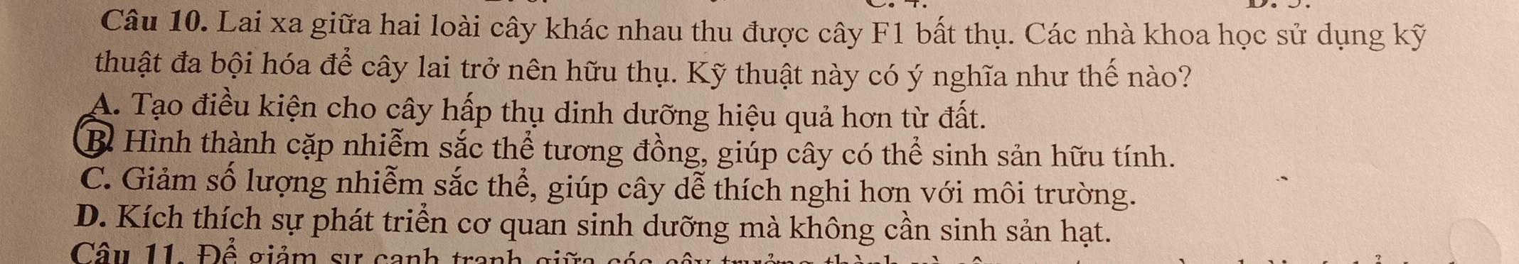 Lai xa giữa hai loài cây khác nhau thu được cây F1 bất thụ. Các nhà khoa học sử dụng kỹ
thuật đa bội hóa để cây lai trở nên hữu thụ. Kỹ thuật này có ý nghĩa như thế nào?
A. Tạo điều kiện cho cây hấp thụ dinh dưỡng hiệu quả hơn từ đất.
B Hình thành cặp nhiễm sắc thể tương đồng, giúp cây có thể sinh sản hữu tính.
C. Giảm số lượng nhiễm sắc thể, giúp cây dễ thích nghi hơn với môi trường.
D. Kích thích sự phát triển cơ quan sinh dưỡng mà không cần sinh sản hạt.
Câu 11. Để giảm sự cạnh tranh