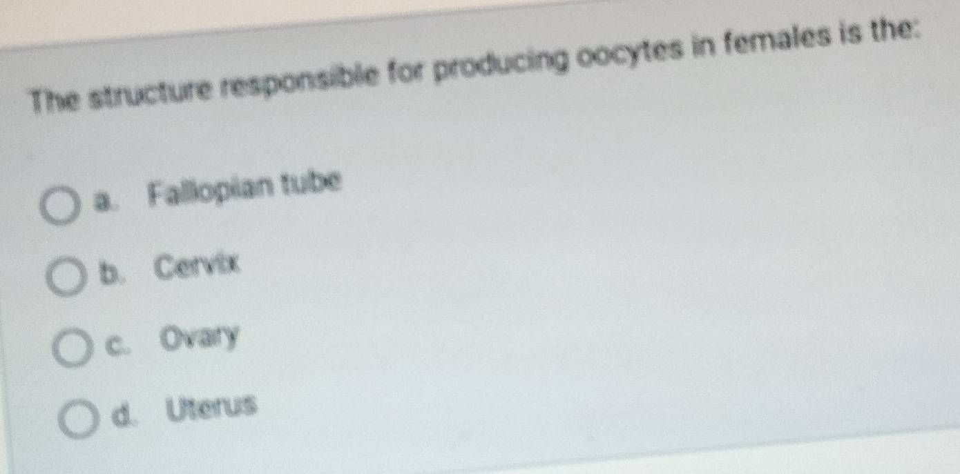 The structure responsible for producing oocytes in females is the:
a. Fallopian tube
b. Cervix
c. Ovary
d. Uterus