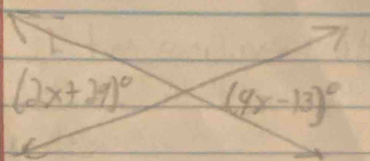 (2x+29)^circ 
(4x-13)^circ 