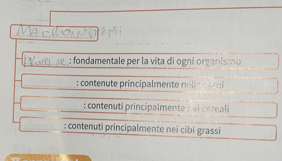 fondamentale per la vita di ogni organismo
: contenute principalmente nelle cami
: contenuti principalmente néi céreali
: contenuti principalmente nei cibi grassi