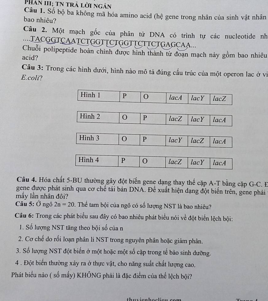 Phân III; tN trả lời ngán
Câu 1. Số bộ ba không mã hóa amino acid (hệ gene trong nhân của sinh vật nhân
bao nhiêu?
Câu 2. Một mạch gốc của phân tử DNA có trình tự các nucleotide nh
..TACGGTCAATCTGGTȚCTGGTTCTTCTGAGCAA...
Chuỗi polipeptide hoàn chỉnh được hình thành từ đoạn mạch này gồm bao nhiêu
acid?
Câu 3: Trong các hình dưới, hình nào mô tả đúng cấu trúc của một operon lac ở vi
E.coli?
Hình 1 P 0 lacA lacY lacZ
Hình 2 0 P lacZ lacY lacA
Hình 3 0 P lacY lacZ lacA
Hình 4 P 0 lacZ lacY lacA
Câu 4. Hóa chất 5 -BU thường gây đột biến gene dạng thay thế cặp A-T bằng cặp G-C. E
gene được phát sinh qua cơ chế tái bản DNA. Để xuất hiện dạng đột biến trên, gene phải
mấy lần nhân đôi?
Câu 5: Ở ngô 2n=20 Thể tam bội của ngô có số lượng NST là bao nhiêu?
Câu 6: Trong các phát biểu sau đây có bao nhiêu phát biểu nói về đột biển lệch bội:
1. Số lượng NST tăng theo bội số của n
2. Cơ chế do rối loạn phân li NST trong nguyên phân hoặc giảm phân.
3. Số lượng NST đột biến ở một hoặc một số cặp trong tế bào sinh dưỡng.
4 . Đột biến thường xảy ra ở thực vật, cho năng suất chất lượng cao,
Phát biểu nào ( số mấy) KHÔNG phải là đặc điểm của thể lệch bội?