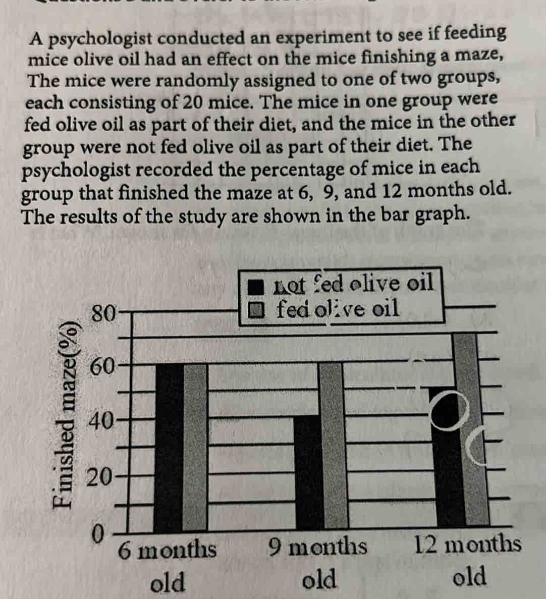 A psychologist conducted an experiment to see if feeding mice olive oil ...
