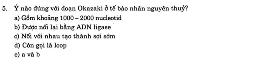 Ý nào đúng với đoạn Okazaki ở tế bào nhân nguyên thuỷ?
a) Gồm khoảng 1000 - 2000 nucleotid
b) Được nối lại bằng ADN ligase
c) Nối với nhau tạo thành sợi sớm
d) Còn gọi là loop
e) a và b