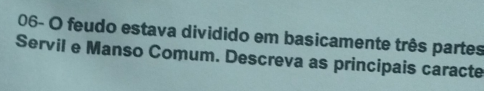 06- O feudo estava dividido em basicamente três partes 
Servil e Manso Comum. Descreva as principais caracte