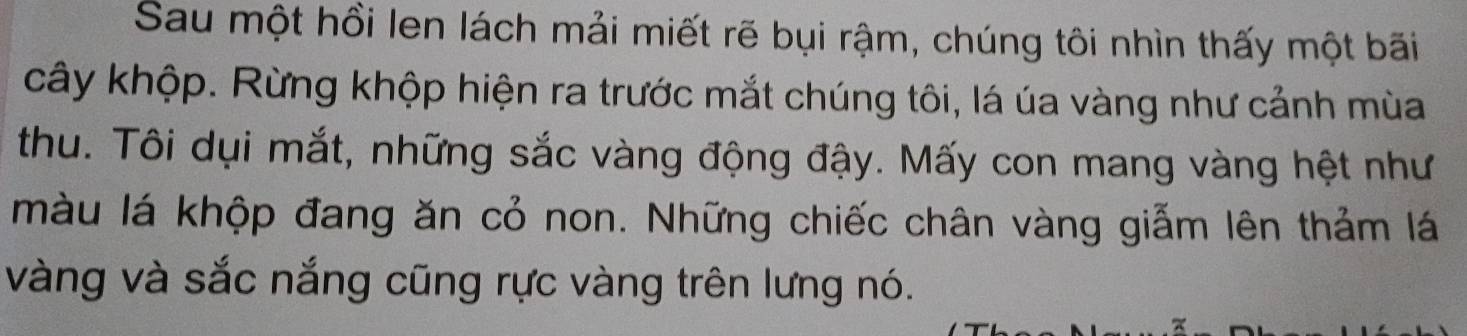 Sau một hồi len lách mải miết rẽ bụi rậm, chúng tôi nhìn thấy một bãi 
cây khộp. Rừng khộp hiện ra trước mắt chúng tôi, lá úa vàng như cảnh mùa 
thu. Tôi dụi mắt, những sắc vàng động đậy. Mấy con mang vàng hệt như 
màu lá khộp đang ăn cỏ non. Những chiếc chân vàng giẫm lên thảm lá 
vàng và sắc nắng cũng rực vàng trên lưng nó.