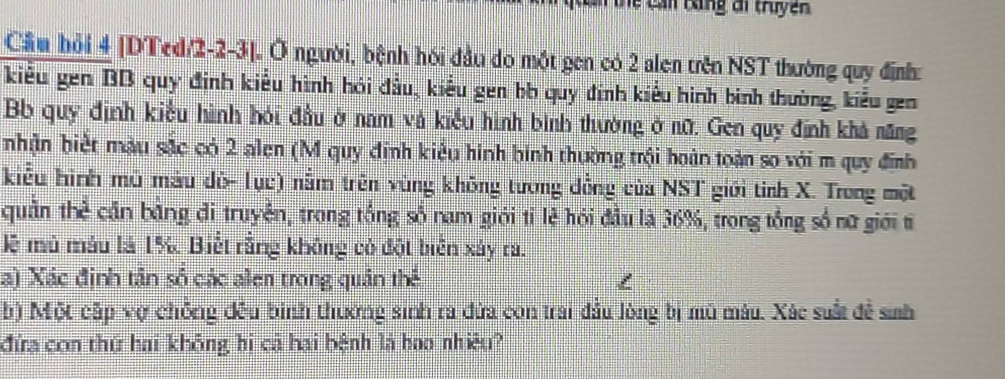 Tể Cần tùng di truyền 
Cầu hỏi 4 [DTed/2 -2-3]. Ở người, bệnh hỏi đầu do một gen có 2 alen trên NST thường quy định: 
kiểu gen BB quy định kiểu hình hỏi đầu, kiểu gen bb quy định kiểu hình bình thường, kiểu gen 
Bb quy định kiểu hình hỏi đầu ở nam và kiểu hình bình thường ở nữ. Gen quy đính khả năng 
nhận biết màu sắc có 2 alen (M quy đinh kiêu hình bình thường trội hoàn toàn so với m quy định 
kiểu hình mô màu đô- lục) nằm trên vùng không tương đồng của NST giới tỉnh X. Trong một 
quần thể cần băng đi truyền, trong tổng số nam giới tỉ lệ hồi đầu là 36%, trong tổng số nữ giới tỉ 
lệ mù máu là 1% Biết rằng không có đột biên xáy ra. 
a) Xác định tân số các alen trong quân thể / 
b) Một cấp vợ chống đều bình thường sinh ra đứa con trai đầu lòng bị mũ màu. Xác suất đề sinh 
đứa con thứ hai không hi cả hai bệnh là hao nhiều?