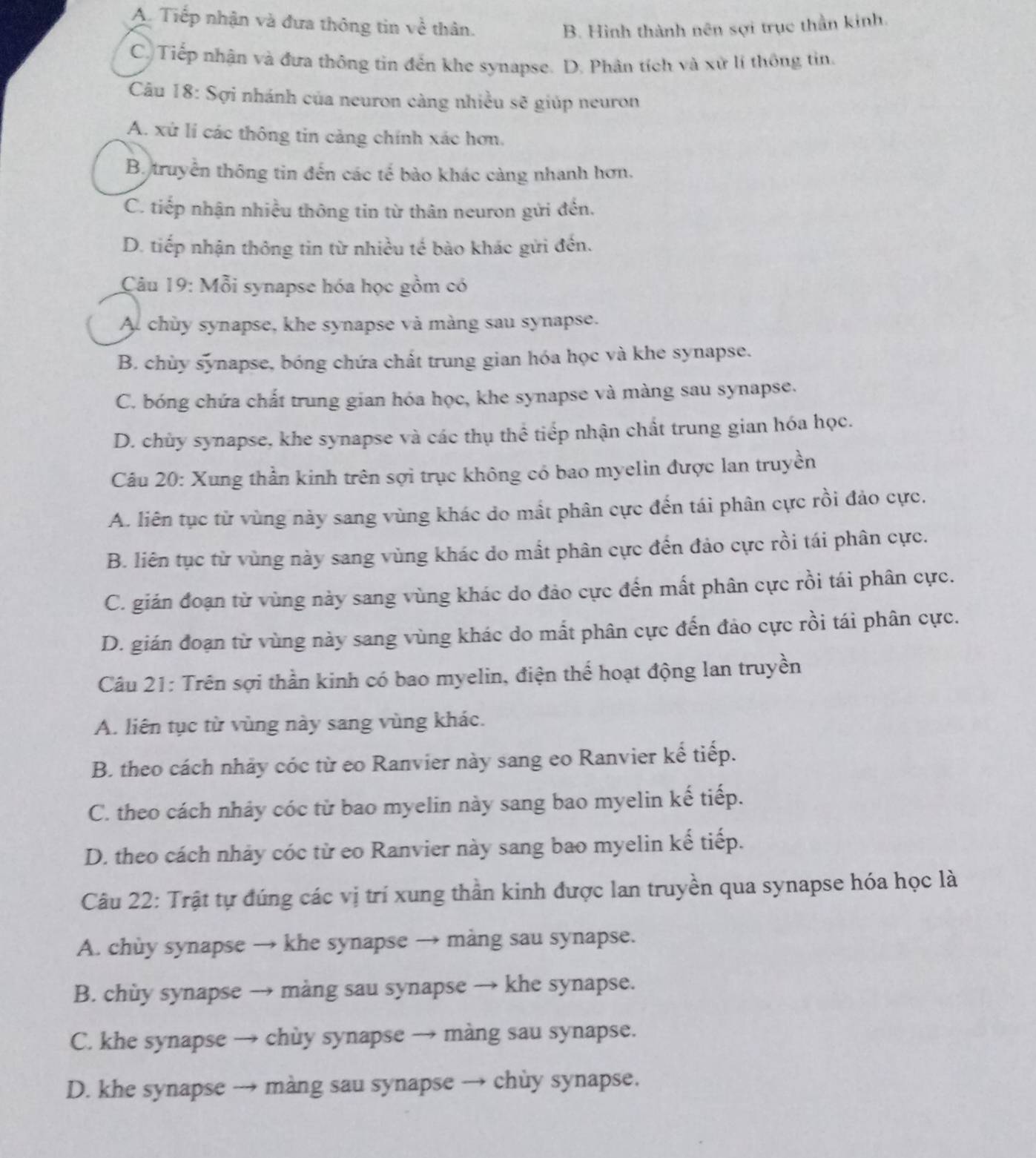 A. Tiếp nhận và đưa thông tin về thân. B. Hình thành nên sợi trục thần kinh.
C. Tiếp nhận và đưa thông tin đến khe synapse. D. Phân tích và xử lí thông tin,
Câu 18: Sợi nhánh của neuron càng nhiều sẽ giúp neuron
A. xứ lí các thông tin cảng chính xác hơn.
B truyền thông tin đến các tế bào khác càng nhanh hơn.
C. tiếp nhận nhiều thông tin từ thân neuron gửi đến.
D. tiếp nhận thông tin từ nhiều tế bào khác gửi đến.
Câu 19: Mỗi synapse hóa học gồm có
A chùy synapse, khe synapse và màng sau synapse.
B. chùy synapse, bóng chứa chất trung gian hóa học và khe synapse.
C. bóng chứa chất trung gian hóa học, khe synapse và màng sau synapse.
D. chủy synapse, khe synapse và các thụ thể tiếp nhận chất trung gian hóa học.
Câu 20: Xung thần kinh trên sợi trục không có bao myelin được lan truyền
A. liên tục từ vùng này sang vùng khác do mất phân cực đến tái phân cực rồi đảo cực.
B. liên tục từ vùng này sang vùng khác do mất phân cực đến đảo cực rồi tái phân cực.
C. gián đoạn từ vùng này sang vùng khác do đảo cực đến mất phân cực rồi tái phân cực.
D. gián đoạn từ vùng này sang vùng khác do mất phân cực đến đảo cực rồi tái phân cực.
Câu 21: Trên sợi thần kinh có bao myelin, điện thể hoạt động lan truyền
A. liên tục từ vùng này sang vùng khác.
B. theo cách nhảy cóc từ eo Ranvier này sang eo Ranvier kế tiếp.
C. theo cách nhảy cóc từ bao myelin này sang bao myelin kế tiếp.
D. theo cách nhảy cóc từ eo Ranvier này sang bao myelin kế tiếp.
Câu 22: Trật tự đúng các vị trí xung thần kinh được lan truyền qua synapse hóa học là
A. chùy synapse → khe synapse → màng sau synapse.
B. chùy synapse → màng sau synapse → khe synapse.
C. khe synapse → chùy synapse → màng sau synapse.
D. khe synapse → màng sau synapse → chùy synapse.
