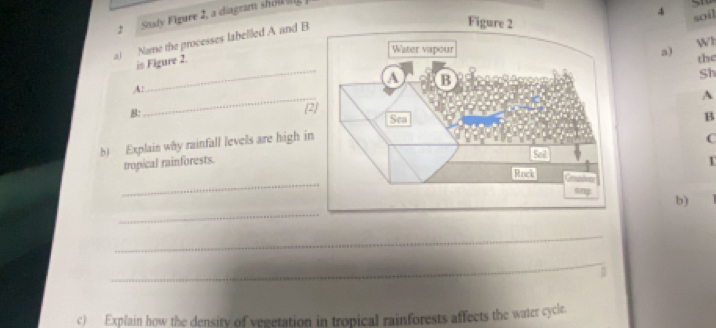 Sady Figure 2, a diagram sholk 
4 soil 
W1 
a) Name the processes labellled A and B 
a) 
_ 
is Figure 2. 
the 
Sh 
_ 
A: 
A 
B: 
(2) 
B 
b) Explain why rainfall levels are high in 
C 
tropical rainforests. 
_ 
_ 
b) 
_ 
_ 
c) Explain how the density of vegetation in tropical rainforests affects the water cycle.