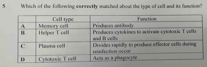 Which of the following correctly matched about the type of cell and its function?