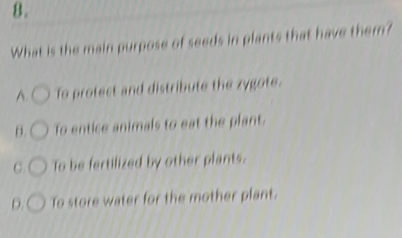 8 .
What is the main purpose of seeds in plants that have them?
A. To protect and distribute the zygote.
B. To entice animals to eat the plant.
C. To be fertilized by other plants.
D. To store water for the mother plant.