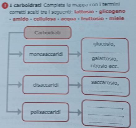 carboïdrati Completa la mappa con i termini 
corretti scelti tra i seguenti: lattosio • glicogeno 
* amido « cellulosa » acqua » fruttosio » miele 
Carboïdrati 
glucosio, 
monosaccaridi 
_ 
galattosio, 
ribosio ecc. 
disaccaridi saccarosio, 
_ 
_ 
1 
polisaccaridi_ 
_