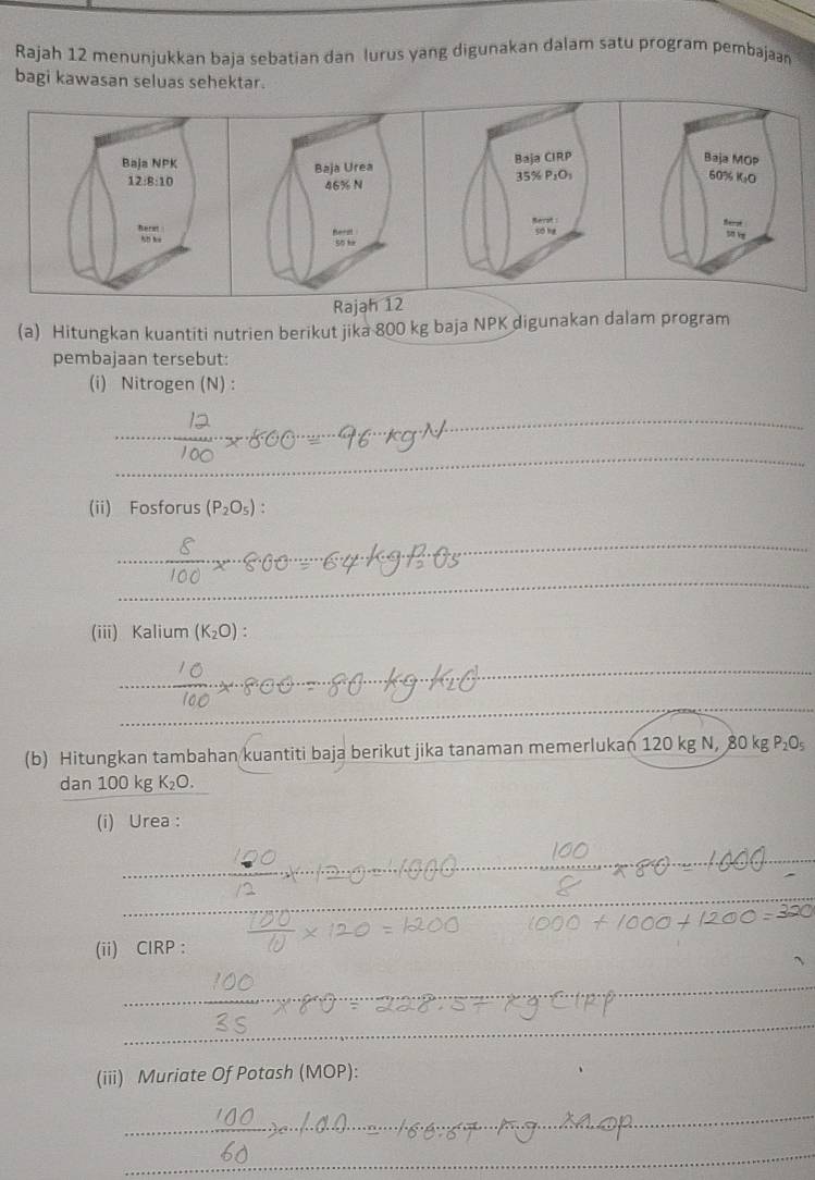 Rajah 12 menunjukkan baja sebatian dan lurus yang digunakan dalam satu program pembajaan 
bagi kawasan seluas sehektar. 
Rajah 12 
(a) Hitungkan kuantiti nutrien berikut jika 800 kg baja NPK digunakan dalam program 
pembajaan tersebut: 
(i) Nitrogen (N) : 
_ 
_ 
_ 
(ii) Fosforus (P_2O_5) : 
_ 
_ 
_ 
(iii) Kalium (K_2O) : 
_ 
_ 
_ 
(b) Hitungkan tambahan kuantiti baja berikut jika tanaman memerlukan 120 kg N, 80 kg P_2O
dan 100 kg K₂O. 
(i) Urea : 
_ 
_ 
_ 
(ii) ClRP: 
_ 
_ 
_ 
(iii) Muriate Of Potash (MOP): 
_ 
_