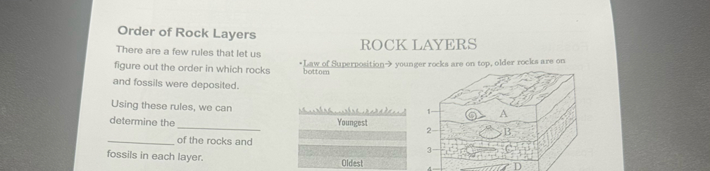 Order of Rock Layers 
There are a few rules that let us ROCK LAYERS 
figure out the order in which rocks *Law of Superposition→ younger rocks are on top, older rocks are on 
bottom 
and fossils were deposited. 
Using these rules, we can 
1 A 
_ 
determine the Youngest 
2 B. 
_of the rocks and 
3 
fossils in each layer. 
Oldest