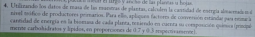 pueden medir el largo y ancho de las plantas u hojas. 
4. Utilizando los datos de masa de las muestras de plantas, calculen la cantidad de energía almacenada en el 
nivel trófico de productores primarios. Para ello, apliquen factores de conversión estándar para estimar la 
cantidad de energía en la biomasa de cada planta, teniendo en cuenta su composición química (principal- 
mente carbohidratos y lípidos, en proporciones de 0.7 y 0.3 respectivamente).