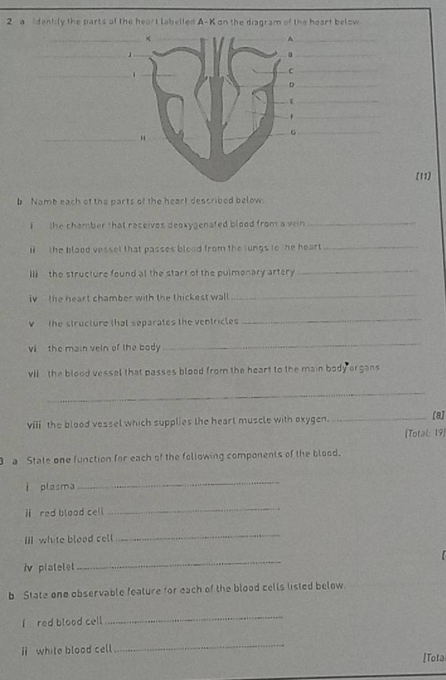 a dentily the parts of the heart labelled A-K on the diagram of the heart below 
_ 
_ 
_ 
_ 
_ 
_ 
_ 
[11] 
b Name each of the parts of the hear! described below. 
I the chamber that receives deoxygenated blood from a vein _ 
ⅱ the blood vessel that passes blood from the lungs to the heart _ 
ll the structure found at the start of the pulmonary artery 
_ 
i the heart chamber with the thickest wall 
_ 
v the structure that separates the ventricles 
_ 
vi the main veln of the body 
_ 
vI , the blood vessel that passes blood from the heart to the main body organs 
_ 
viii the blood vessel which supplies the hearl muscle with oxygen. 
_[8] 
(Total: 19) 
a State one function for each of the following components of the blood. 
i plasma 
_ 
ⅱ red blood cell 
_ 
I white blood cell 
_ 
i platelet 
_ 
b State one observable feature for each of the blood cells listed below. 
f red blood cell 
_ 
while blood cell 
_ 
[Tota