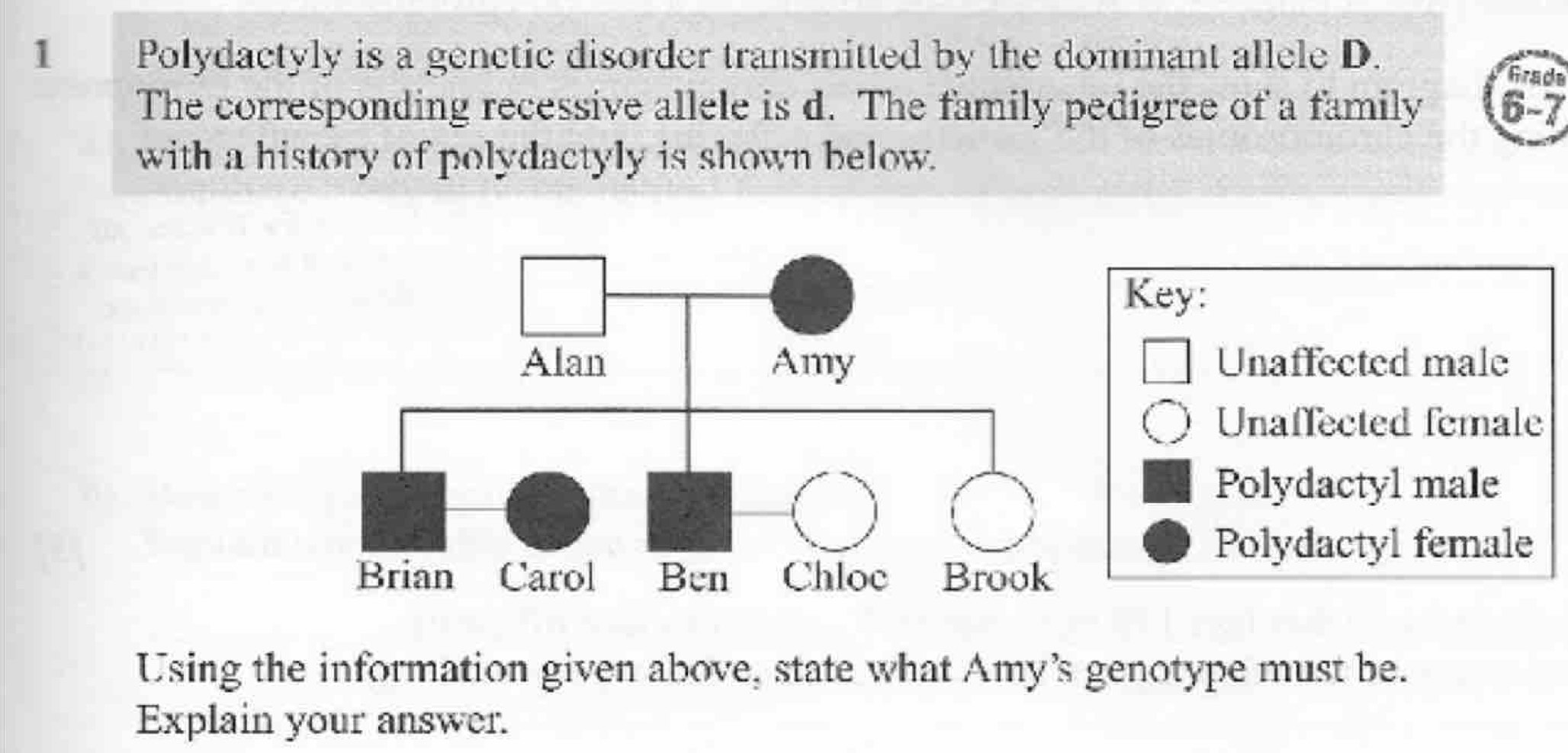 Polydactyly is a genctic disorder transmitted by the dominant allele D.
Grada
The corresponding recessive allele is d. The family pedigree of a family 6-7
with a history of polydactyly is shown below.
Key:
Unaffected male
Unaffected female
Polydactyl male
Polydactyl female
Using the information given above, state what Amy's genotype must be.
Explain your answer.