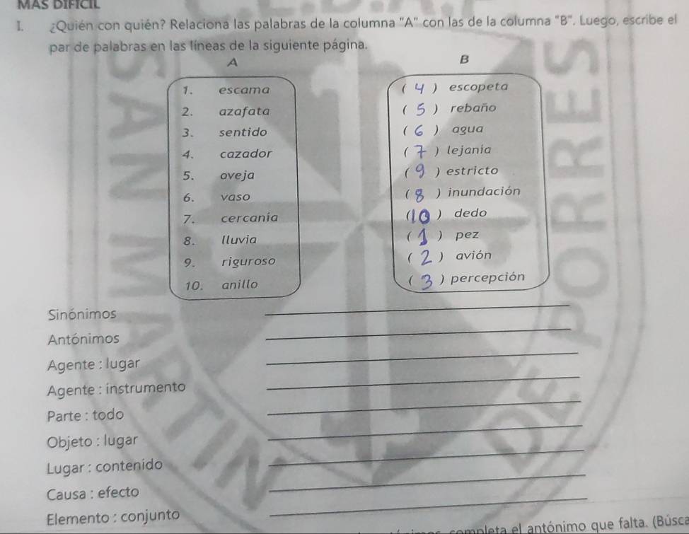 MAS DIFICIL
I. ¿Quién con quién? Relaciona las palabras de la columna "A" con las de la columna "B". Luego, escribe el
par de palabras en las líneas de la siguiente página.
A
B
1. escama  ) escopeta
2. azafata ( ) rebaño
3. sentido ( ) agua
4. cazador ) lejania
(
5. oveja ) estricto
6. vaso  ) inundación
7. cercania a ) dedo
8. Iluvia   pez
(
9. riguroso ) avión
10. anillo ( ) percepción
_
_
_
Sinónimos
Antónimos
Agente : lugar
_
Agente : ínstrumento
_
Parte : todo
_
_
Objeto : lugar
_
_
Lugar : contenido
Causa : efecto
Elemento : conjunto
_
completa el antónimo que falta. (Búsca