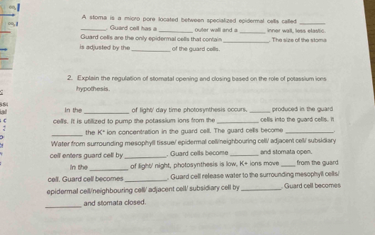 A stoma is a micro pore located between specialized epidermal cells called_ 
_. Guard cell has a _outer wall and a _inner wall, less elastic. 
Guard cells are the only epidermal cells that contain _. The size of the stoma 
is adjusted by the _of the guard cellls. 
2. Explain the regulation of stomatal opening and closing based on the role of potassium ions 
. 
hypothesis. 
SSL In the _of light/ day time photosynthesis occurs. _ produced in the guard . 
al 
C cells. It is utilized to pump the potassium ions from the _cells into the quard cells. It 
: 
_ 
the K^+ ion concentration in the guard cell. The guard cells become _ 
Water from surrounding mesophyll tissue/ epidermal cell/neighbouring cell/ adjacent cell/ subsidiary 
cell enters guard cell by_ . Guard cells become _and stomata open. 
In the _of light/ night, photosynthesis is low, K + ions move _from the guard 
cell. Guard cell becomes_ . Guard cell release water to the surrounding mesophyll cells/ 
epidermall cell/neighbouring cell/ adjacent cell/ subsidiary cell by _Guard cell becomes 
_ 
and stomata closed.