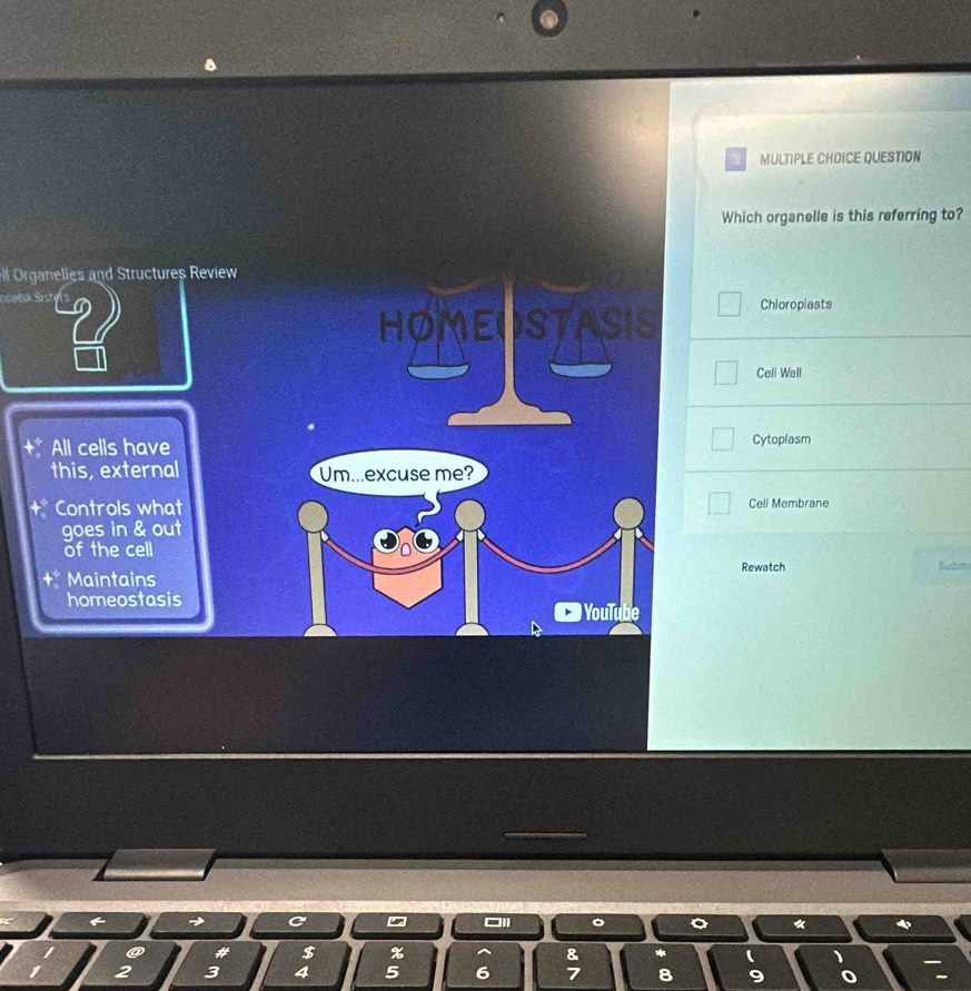 QUESTION 
Which organelle is this referring to? 
ll Organelies and Structures Review 
S Chloroplasts 
HOMEOSTASIS 
Cell Wall 
All cells have Cytoplasm 
this, external Um...excuse me? 
+ Controls what Cell Membrane 
goes in & out 
of the cell 
Rewatch 
Maintains Subm 
homeostasis 
) YouTube 
6 → C 
* 4 
@ # $ % & * 
2 3 4 5 6 7 8 9