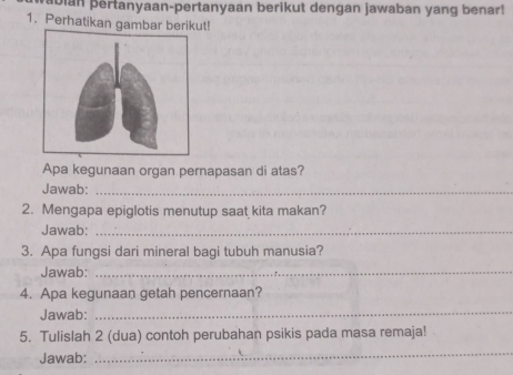 ban pertanyaan-pertanyaan berikut dengan jawaban yang benar! 
1. Perhatikan gambar berikut! 
Apa kegunaan organ pernapasan di atas? 
Jawab:_ 
2. Mengapa epiglotis menutup saat kita makan? 
Jawab:_ 
3. Apa fungsi dari mineral bagi tubuh manusia? 
Jawab:_ 
4. Apa kegunaan getah pencernaan? 
Jawab:_ 
5. Tulislah 2 (dua) contoh perubahan psikis pada masa remaja! 
Jawab: 
_