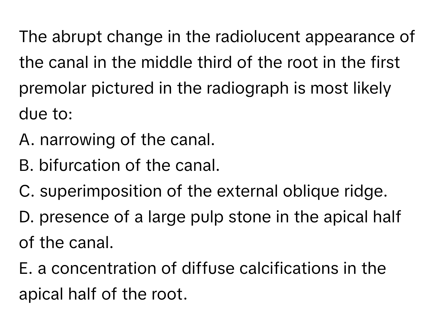 The abrupt change in the radiolucent appearance of the canal in the middle third of the root in the first premolar pictured in the radiograph is most likely due to:

A. narrowing of the canal.
B. bifurcation of the canal.
C. superimposition of the external oblique ridge.
D. presence of a large pulp stone in the apical half of the canal.
E. a concentration of diffuse calcifications in the apical half of the root.