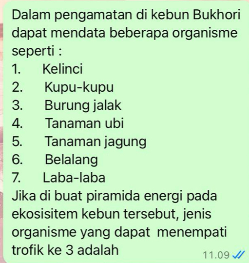 Dalam pengamatan di kebun Bukhori 
dapat mendata beberapa organisme 
seperti : 
1. Kelinci 
2. Kupu-kupu 
3. Burung jalak 
4. Tanaman ubi 
5. Tanaman jagung 
6. Belalang 
7. Laba-laba 
Jika di buat piramida energi pada 
ekosisitem kebun tersebut, jenis 
organisme yang dapat menempati 
trofik ke 3 adalah
11.09