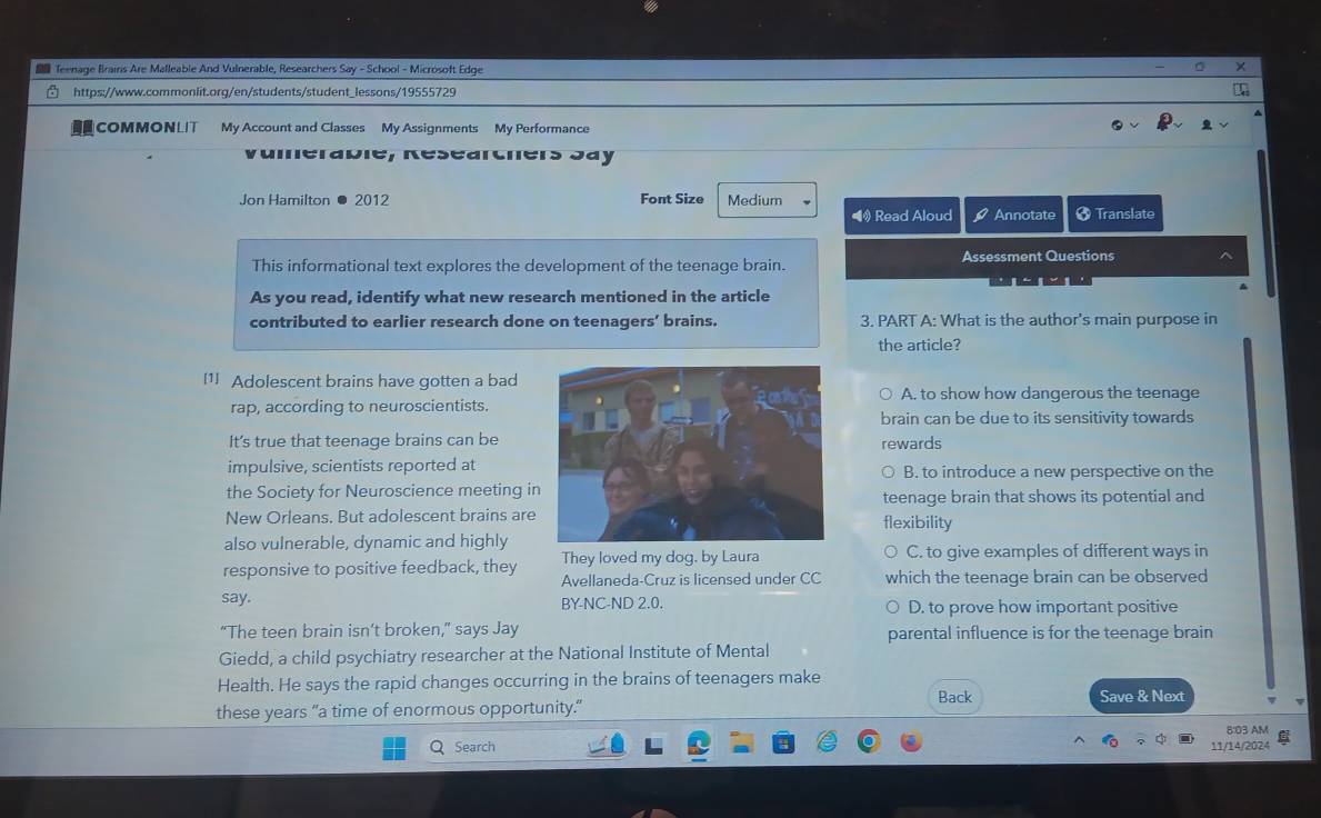 Teenage Brains Are Malleable And Vulnerable, Researchers Say - School - Microsoft Edge
https://www.commonlit.org/en/students/student_lessons/19555729
COMMONLIT My Account and Classes My Assignments My Performance
umérabie, Réséarchers Jay
Jon Hamilton ● 2012 Font Size Medium
• Read Aloud Annotate † Translate
This informational text explores the development of the teenage brain. Assessment Questions
As you read, identify what new research mentioned in the article
contributed to earlier research done on teenagers’ brains. 3. PART A: What is the author's main purpose in
the article?
[1] Adolescent brains have gotten a bad
rap, according to neuroscientists.A. to show how dangerous the teenage
brain can be due to its sensitivity towards
It's true that teenage brains can berewards
impulsive, scientists reported atB. to introduce a new perspective on the
the Society for Neuroscience meeting i
teenage brain that shows its potential and
New Orleans. But adolescent brains areflexibility
also vulnerable, dynamic and highly
responsive to positive feedback, they They loved my dog, by Laura C. to give examples of different ways in
Avellaneda-Cruz is licensed under CC which the teenage brain can be observed
say. BY-NC-ND 2.0. D. to prove how important positive
“The teen brain isn’t broken,” says Jay parental influence is for the teenage brain
Giedd, a child psychiatry researcher at the National Institute of Mental
Health. He says the rapid changes occurring in the brains of teenagers make
these years “a time of enormous opportunity." Back Save & Next
8:03 AM
Q Search 11/14/2024