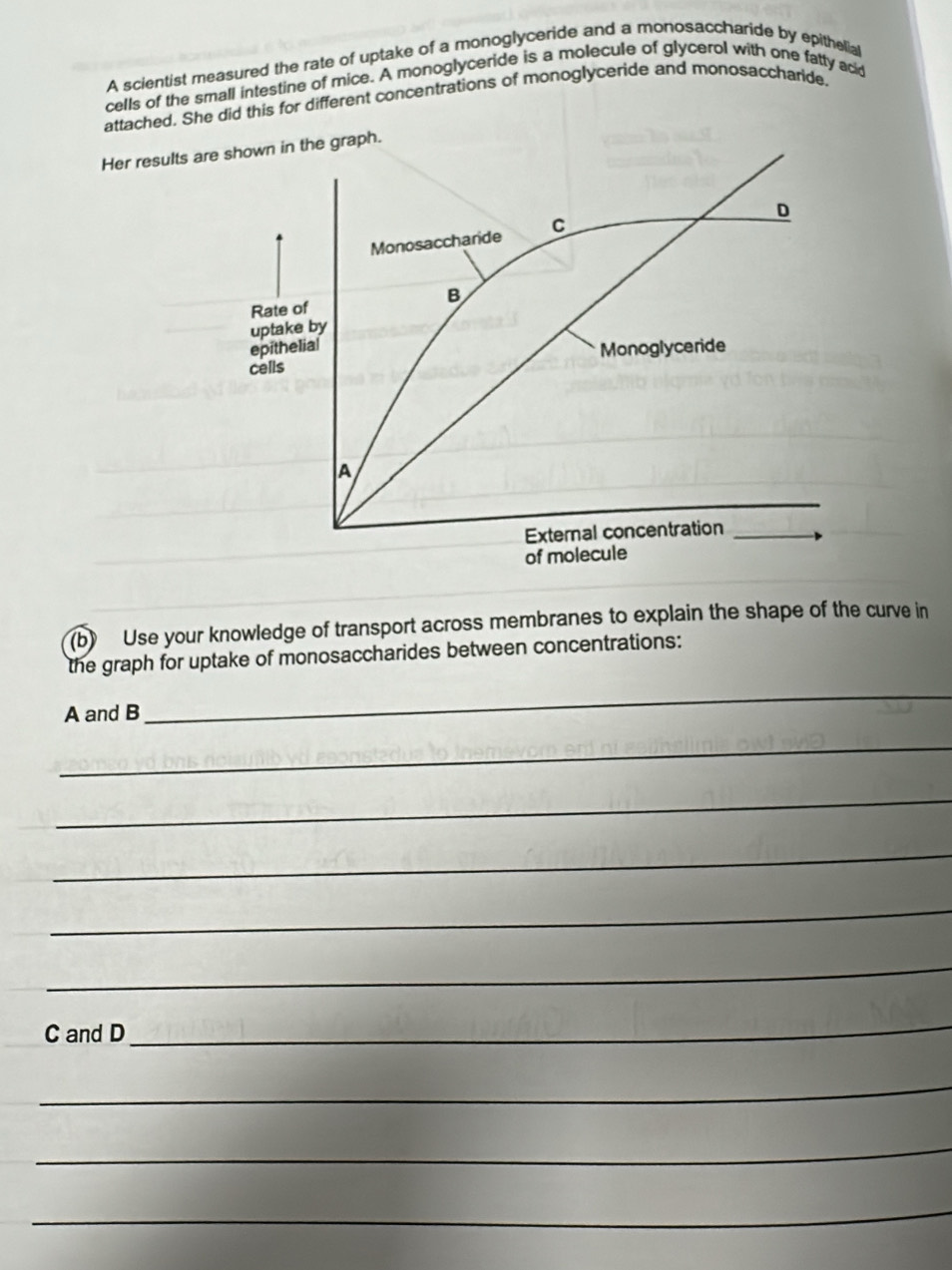 A scientist measured the rate of uptake of a monoglyceride and a monosaccharide by epithelial 
cells of the small intestine of mice. A monoglyceride is a molecule of glycerol with one fatty acid 
attached. She did this for different concentrations of monoglyceride and monosaccharide. 
Her results are shown in the graph. 
D 
Monosaccharide C 
B 
Rate of 
uptake by 
epithelial 
cells Monoglyceride 
A 
External concentration 
of molecule 
(b) Use your knowledge of transport across membranes to explain the shape of the curve in 
the graph for uptake of monosaccharides between concentrations: 
A and B 
_ 
_ 
_ 
_ 
_ 
_ 
C and D 
_ 
_ 
_ 
_