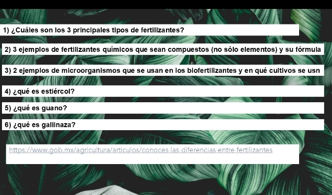 ¿Cuáles son los 3 principales tipos de fertilizantes? 
2) 3 ejemplos de fertilizantes químicos que sean compuestos (no sólo elementos) y su fórmula 
3) 2 ejemplos de microorganismos que se usan en los biofertilizantes y en qué cultivos se usn 
4) ¿qué es estiércol? 
5) ¿qué es guano? 
6) ¿qué es gallinaza? 
https://www.gob.mx/agricultura/articulos/conoces-las-diferencias-entre-fertilizantes