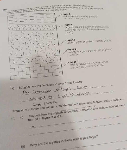 The diagram shows a section through a formation of rocks. The rocks formed as 
ledments on the bed of an inland sea. The sea was sufrounded by a hot, rocky desert. I 
sedid faned, but when it did the rain was very heavy. 
_ 
_ 
_ 
layer 5 red sandstone - mainly grains of 
sílicón dioxide (SiO) 
__ 
_ 
l ay er 4 large crystals of potassium chlorde (KCI) 
with large crystals of sodium chloride 
(NaCl) 
layer 3
large crystals of sodium chlonde (NaCl) 
layer 2
mainly fine grains of calcium sulphate 
(CaSO₄) 
layer 
mainly limestone - fine grains of 
calcium carbonate (CaCO) 
_ 
(a) Suggest how the limestone in layer 1 was formed 
Potassium chloride and sodium chloride are both more soluble than calcium sulphate. 
(b) (i) Suggest how the crystals of potassium chloride and sodium chloride were 
_ 
formed in layers 3 and 4. 
_ 
(ii) Why are the crystals in these rock layers large?