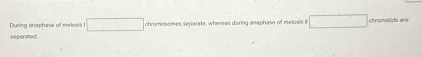 During anaphase of meiosis I chromosomes separate, whereas during anaphase of meiosis II chromatids are 
separated.